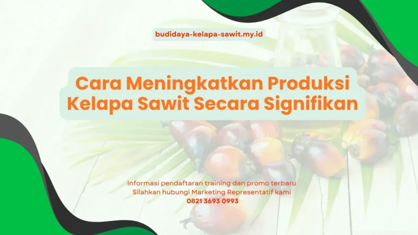 PELATIHAN CARA MENINGKATKAN PRODUKSI KELAPA SAWIT SECARA SIGNIFIKAN JAKARTA