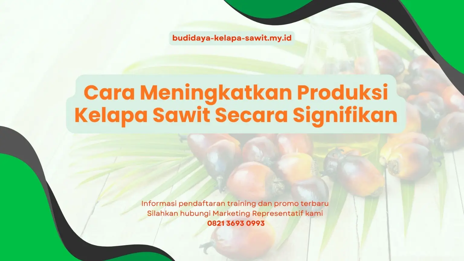 PELATIHAN CARA MENINGKATKAN PRODUKSI KELAPA SAWIT SECARA SIGNIFIKAN JAKARTA