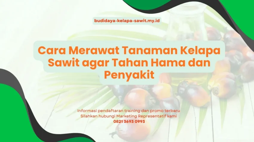 PELATIHAN CARA MERAWAT TANAMAN KELAPA SAWIT AGAR TAHAN HAMA DAN PENYAKIT JAKARTA