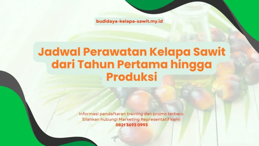 PELATIHAN JADWAL PERAWATAN KELAPA SAWIT DARI TAHUN PERTAMA HINGGA PRODUKSI JAKARTA