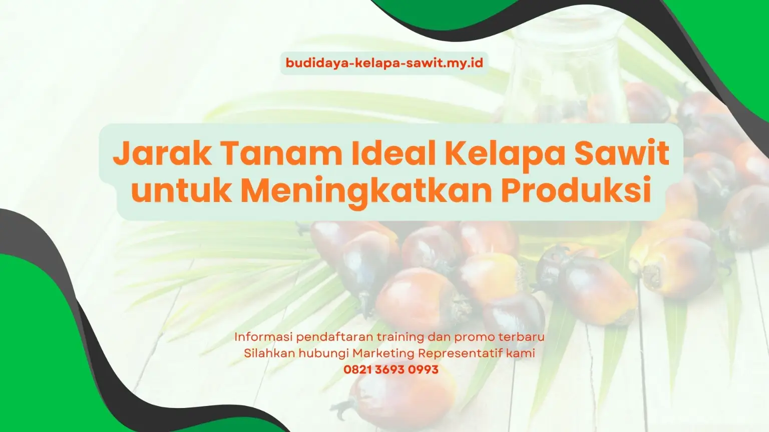 PELATIHAN JARAK TANAM IDEAL KELAPA SAWIT UNTUK MENINGKATKAN PRODUKSI JAKARTA