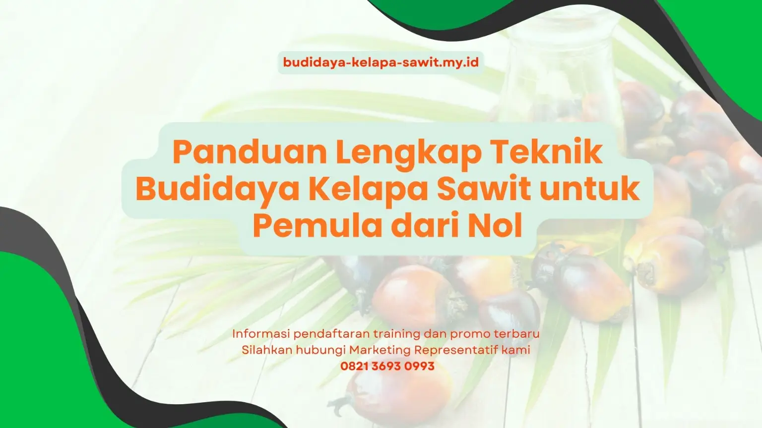 PELATIHAN PANDUAN LENGKAP TEKNIK BUDIDAYA KELAPA SAWIT UNTUK PEMULA DARI NOL JAKARTA