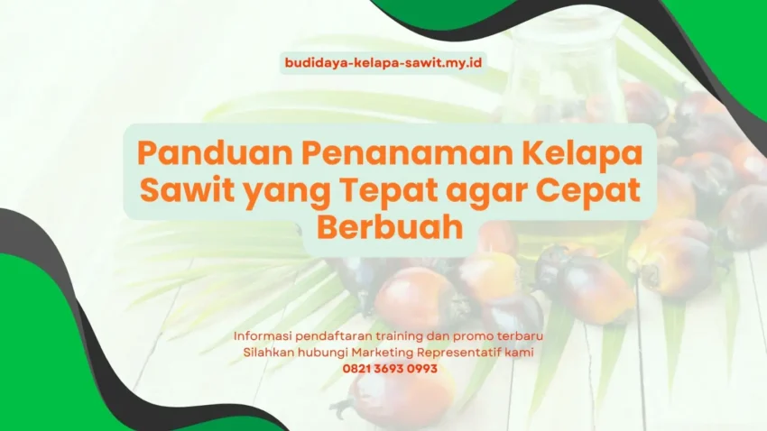 PELATIHAN PANDUAN PENANAMAN KELAPA SAWIT YANG TEPAT AGAR CEPAT BERBUAH JAKARTA