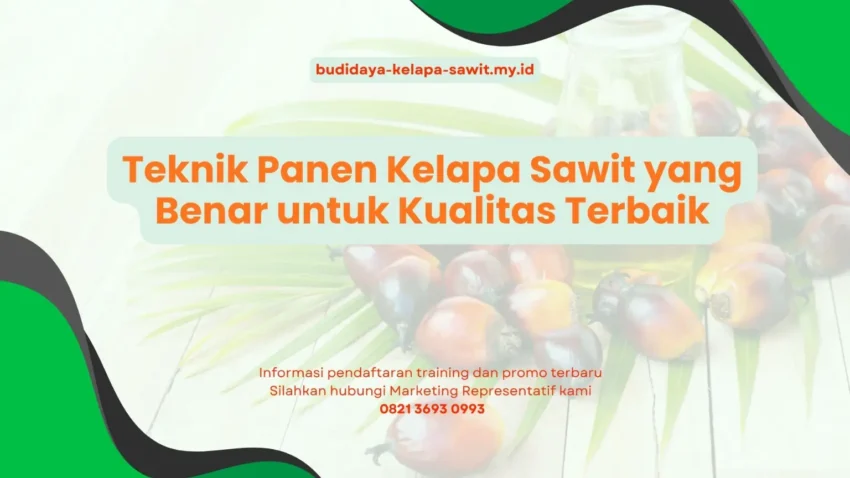 PELATIHAN TEKNIK PANEN KELAPA SAWIT YANG BENAR UNTUK KUALITAS TERBAIK JAKARTA