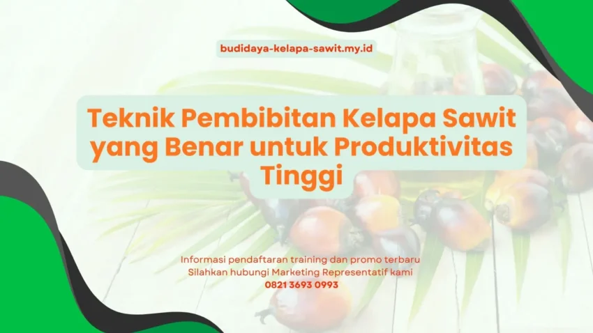 PELATIHAN TEKNIK PEMBIBITAN KELAPA SAWIT YANG BENAR UNTUK PRODUKTIVITAS TINGGI JAKARTA