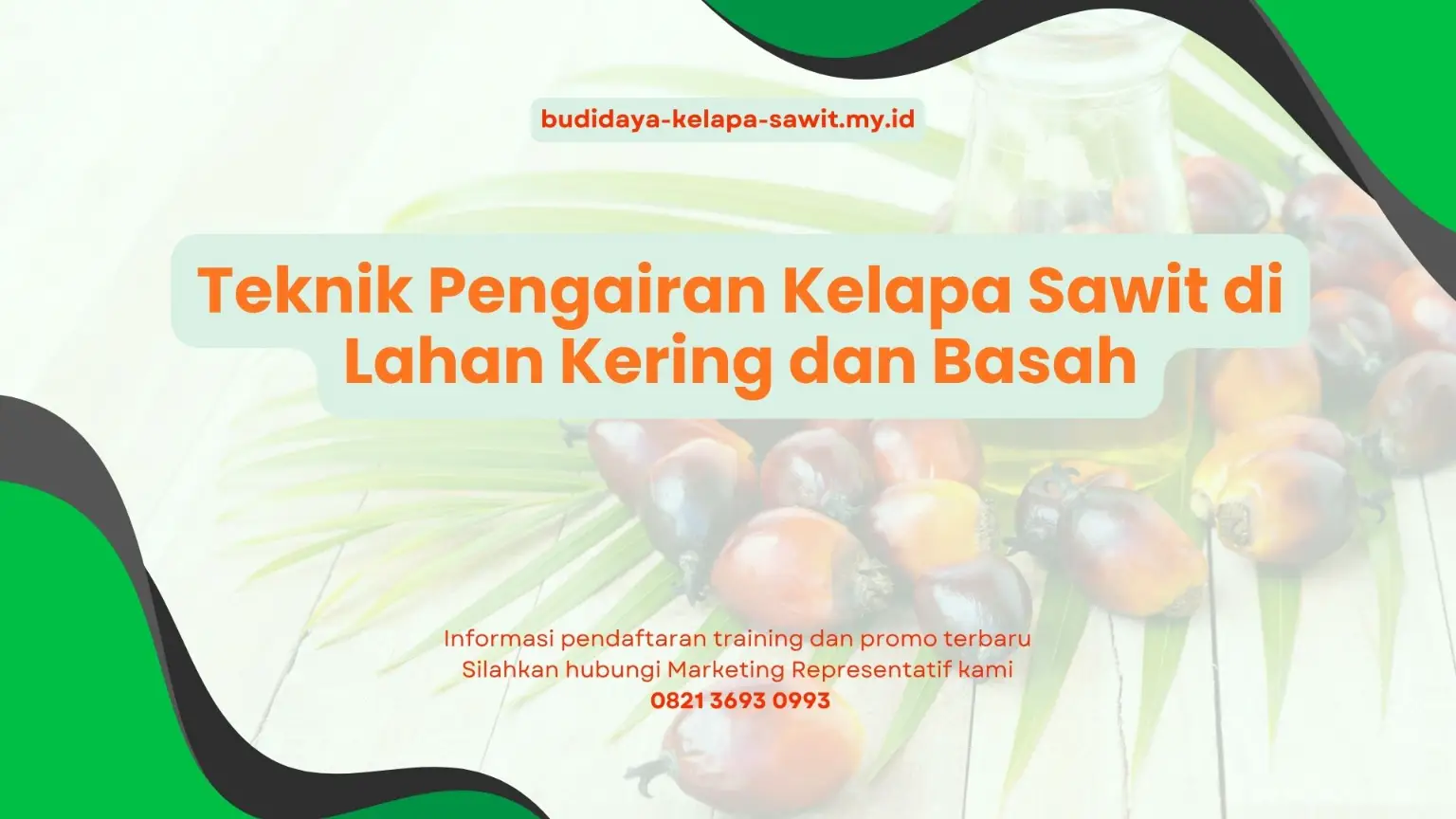PELATIHAN TEKNIK PENGAIRAN KELAPA SAWIT DI LAHAN KERING DAN BASAH JAKARTA